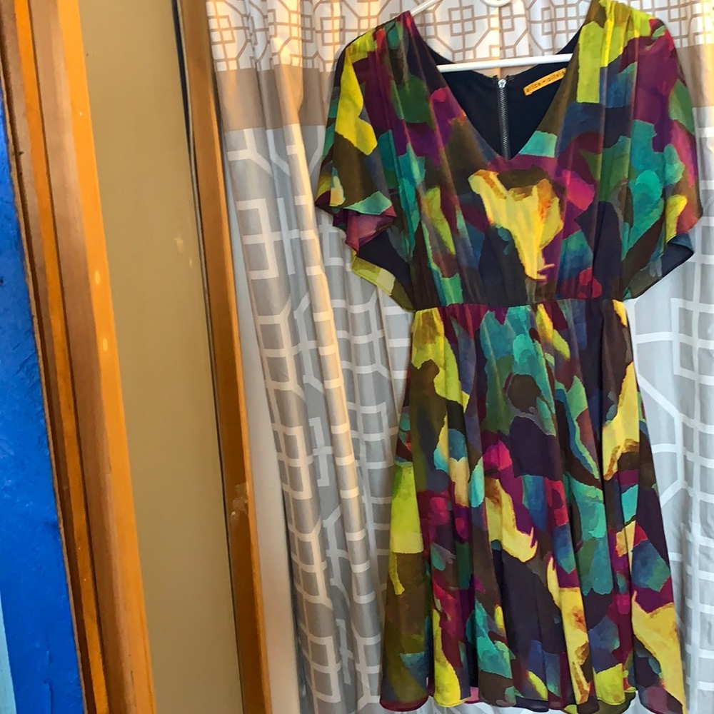 Alice + Olivia multi-colored Silk Dress